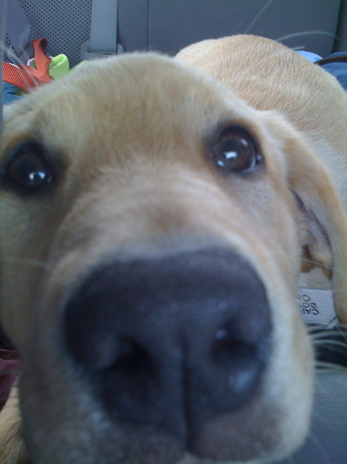 ijbaxter's profile picture. 