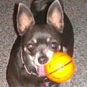 Ginger Craig - @ggc003 - Twitter