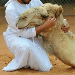 ﯙﺻلك يدآويّ #آﻟعوق ﯙ يشفيهہ ﯙ ﺑعدگ يزيد آﻟققلب ﻧيرآن ♡FA♡'