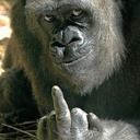 David Lisk - @BennettLisk - Twitter