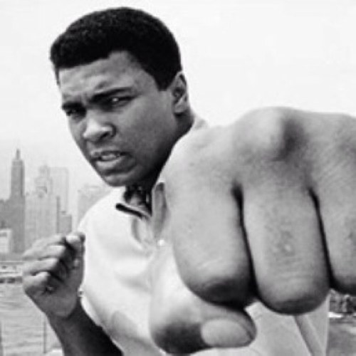 BoxeoReal's profile picture. Boxeo Real.