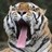 popova_uw_01101's profile image