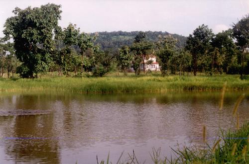 The Lodge area is untouc
the discerning guest the guarantee of privacy, as well as lovely walks and
hiking trails around the lodge.