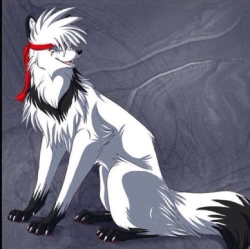 i am the alpha male of the starke pack, im always friendly but will defend my pack if needed, my lovely mate is @Crystalgodwolf bro @codsterwolf