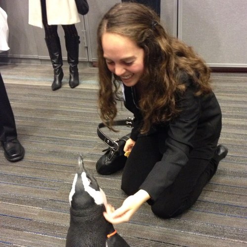 sarahdactyl__'s profile picture. I like puns