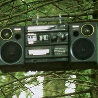 Maia Urstad (@maiaurstad) 's Twitter Profile Photo