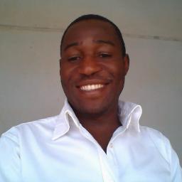 IT/Accounting Consultant