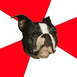 ScumbagBU's profile picture. Screwing your lives since the day you arrived