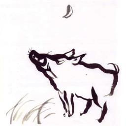 fitboar's profile picture. warrior within