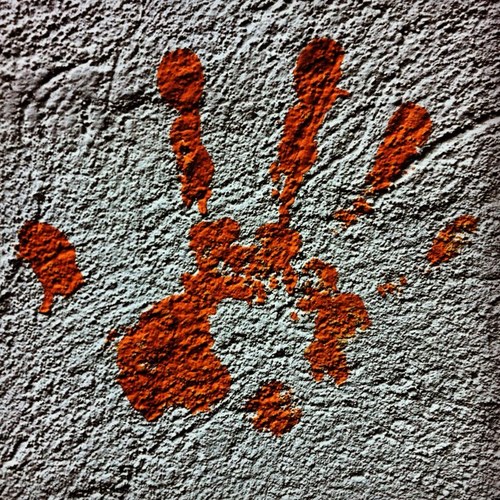 wordsafterword's profile picture. paintin' pictures with words...