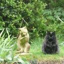 Eileen Maynard - @EileenMaynard7 - Twitter