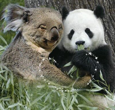 NICK705home's profile picture. 