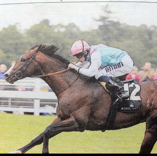 winnersinfo's profile picture. 