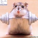 Sally Whitlock - @SallyWhitlock2 - Twitter