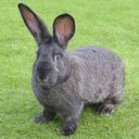 Keeley Summers - @SummersKeeley - Twitter