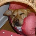 Ruth Oldfield - @RuthOldfield1 - Twitter