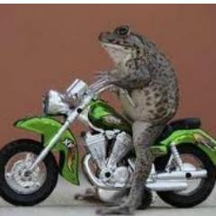 WillTheBeaver's profile picture. Random stuff, and other stuff too.