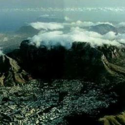 Mnotho_Mancinza's profile picture. 