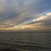 Fatimah (@fatimahsfa) 's Twitter Profile