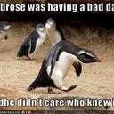 Bart Hopper - @d4ncingd4n - Twitter