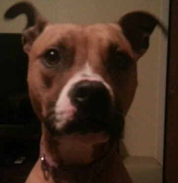 codeb270's profile picture. 