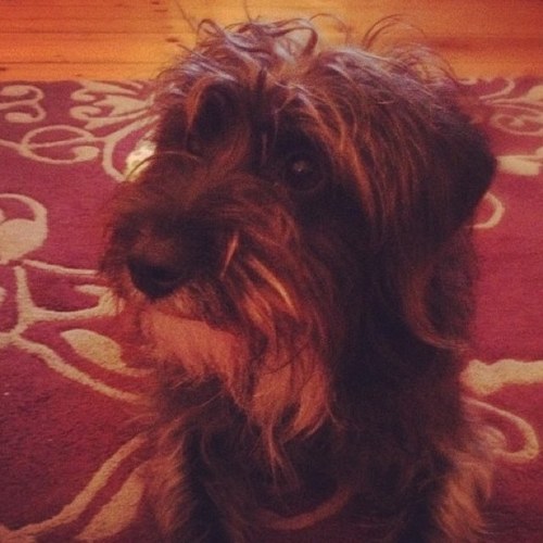 Joe_fish4231's profile picture. Am I nothing? 
@noelfielding11