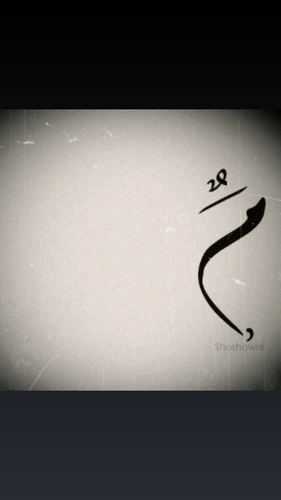 marwa747's profile picture. 