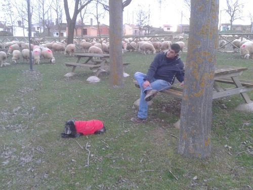 marioclass's profile picture. disfruta el presente como si no hubiera mañanaaaa!!!