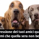 mauro rizzi - @babyraiz - Twitter