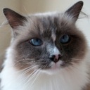 Marc Wright - @marcsaccount - Twitter