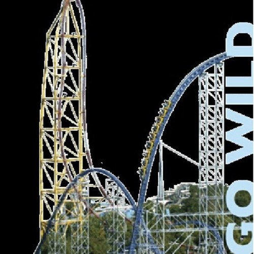 Follow for Facts and pictures of Roller Coasters! Most pictures are from RCDB.  #ridewarriornation #teamridewarriornation kik me at cp_5_11_13