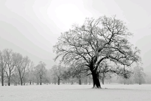Photographer - landscape, wildlife, motorsport, football . And anything else in between.