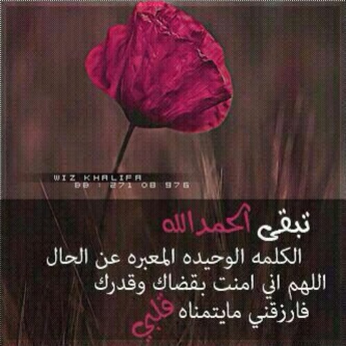 سبحان الله ما أجمل أن نفهم معنى الحياه بطريقتنا لا بطريقة غيرنا