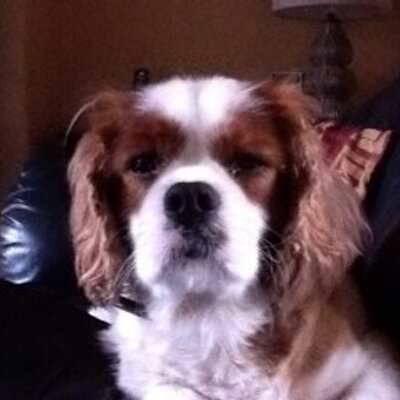 Jonesy (@Hayden2898) / X