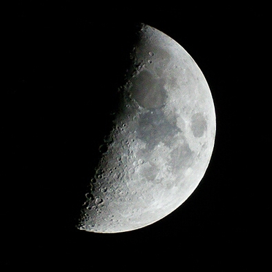 hwaetwegardena's profile picture. 