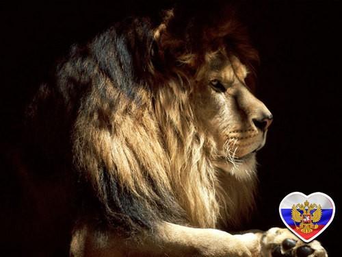 AlexanderLeowin's profile picture. Бог нас всегда окружает теми людьми, с которыми нам необходимо исцелиться от своих недостатков.