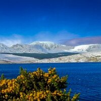 NETLAKE (@netlake) 's Twitter Profile