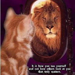 Politics, Weight Loss, Horse back riding, Thoroughbread Horse Racing, Flying, Motorcycles and more. Personal Development on a Daily Basis.