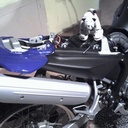 Anna Grierson - @annacg_78 - Twitter