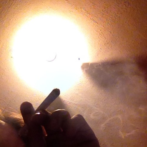 Mc_Garbear's profile picture. 