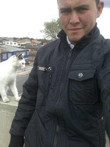 fer141986's profile picture. 