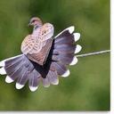 الحربي (@055557290) Twitter