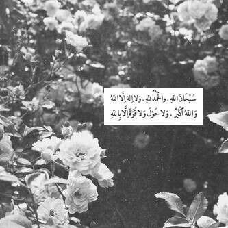 {وَذَكِّرْ فَإِنَّ الذِّكْرَى تَنْفَعُ المُؤْمِنِينَ} ،
