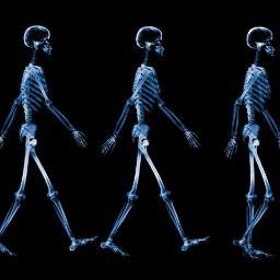 phdeventos1's profile picture. 