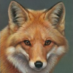 foxbyte (@foxbyteme) Twitter profile photo