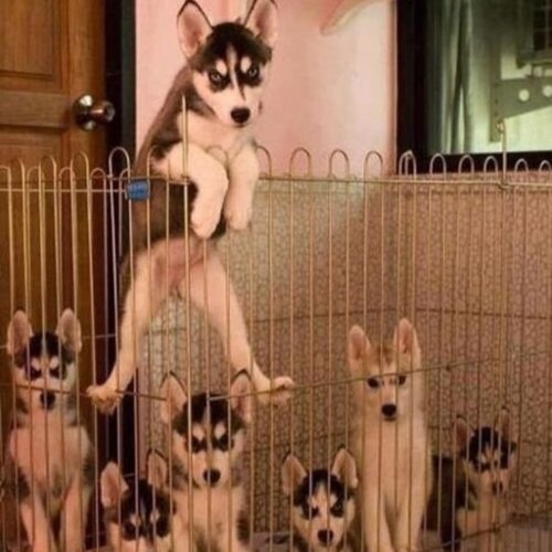 LindaMeijer1's profile picture. 