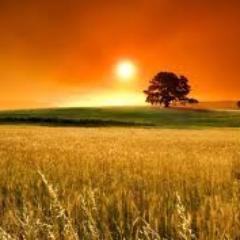 Come discover with me. There is only ONE God, and Muhummad Peace be upon him is His Messenger.