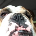 ed jackson - @EjacksonEd - Twitter