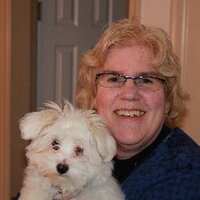 Susan Whitney (@susanwhitney2) 's Twitter Profile