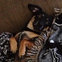 Mary Wulff - @spunkypen - Twitter